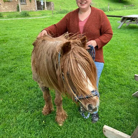 Hébergement de vacances Vakantieboerderij De Schapenweide *