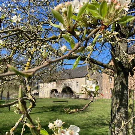 Vakantieboerderij De Schapenweide * Wijlre