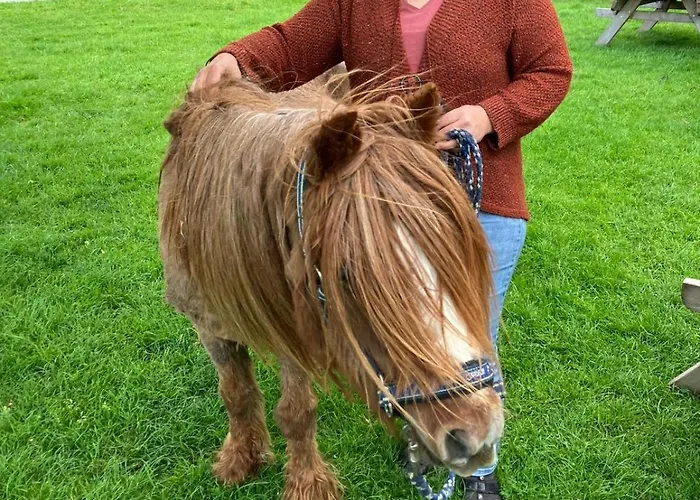 بيت للعطل Vakantieboerderij De Schapenweide *