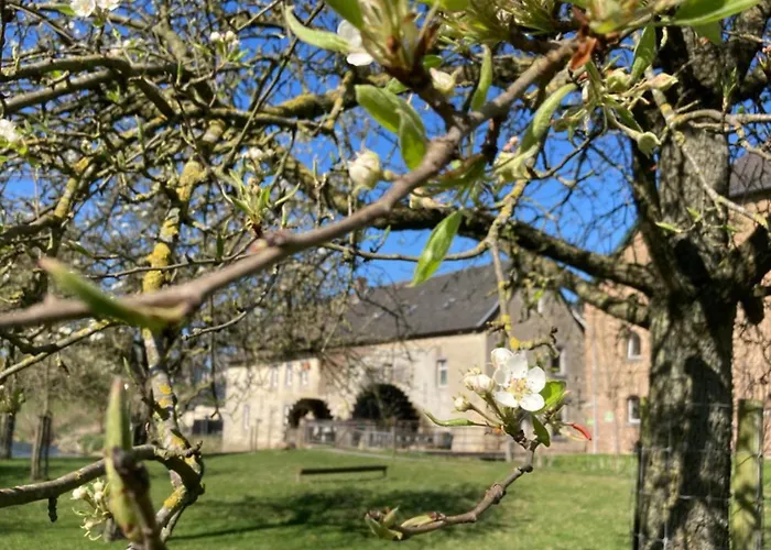 Vakantieboerderij De Schapenweide * Wijlre