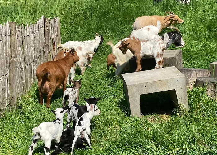 بيت للعطل Vakantieboerderij De Schapenweide