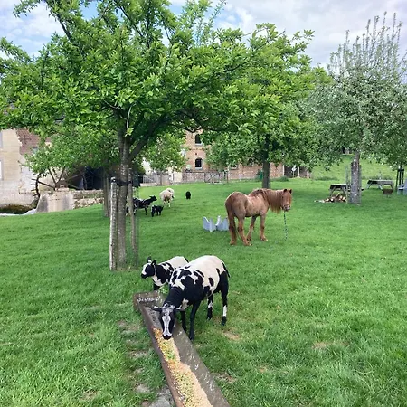 Vakantieboerderij De Schapenweide Сasa de vacaciones Wijlre