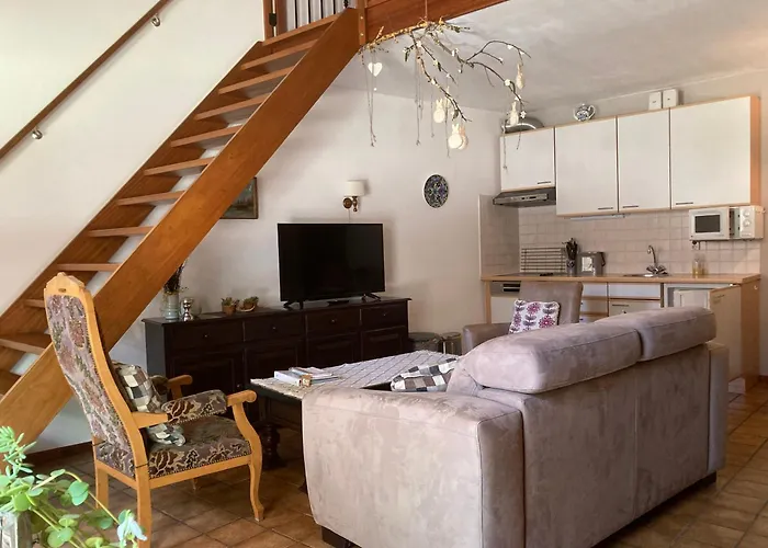 Vakantieboerderij De Schapenweide Сasa de vacaciones *