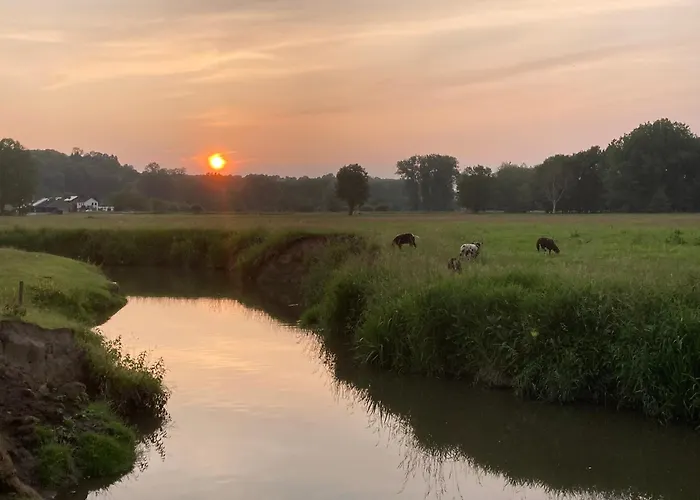 Сasa de vacaciones Vakantieboerderij De Schapenweide *