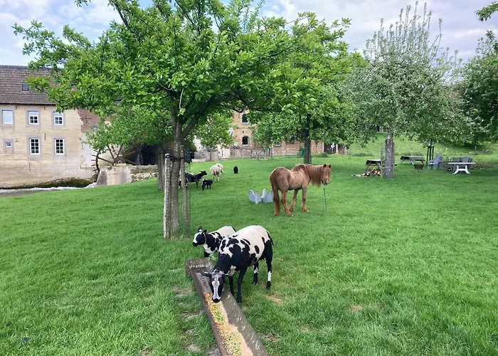 Vakantieboerderij De Schapenweide Сasa de vacaciones Wijlre